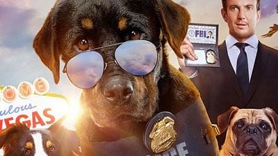 Köpek Komedisi "Show Dogs"tan İlk Fragman Çıktı! haber görseli
