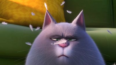"Evcil Hayvanların Gizli Yaşamı 2"den Kedi Chloe Tanıtımı Geldi! haber görseli