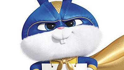 "Evcil Hayvanların Gizli Yaşamı 2"de Evcil Hayvanlar Süper Kahraman Oluyor! haber görseli