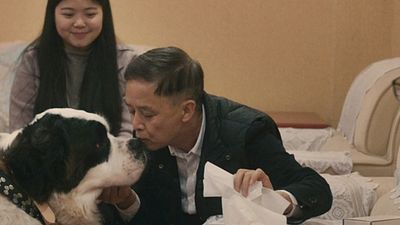 Danimarka İşi Hiciv "St. Bernard Syndicate"ten Fragman Var! haber görseli