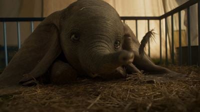 "Dumbo" ABD Box Office'inin Zirvesinde!