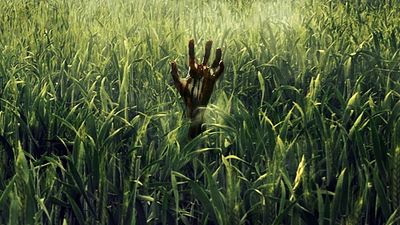 Stephen King Uyarlaması "In the Tall Grass"dan İlk Fragman!