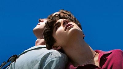 Luca Guadagnino'nun "Call Me By Your Name 2" Planları Nelerdi?