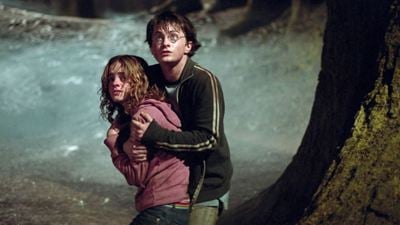 Harry Potter Serisi HBO Max'in Ardından Peacock'ta Gösterilecek