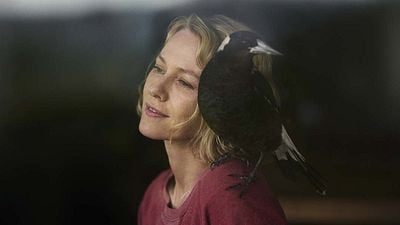 Naomi Watts’lı ‘Penguin Bloom’ Hangi Platformda Yayınlanacak?  haber görseli