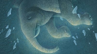 Netflix Animasyonu The Magician's Elephant'ın Kadrosu Belli Oldu haber görseli