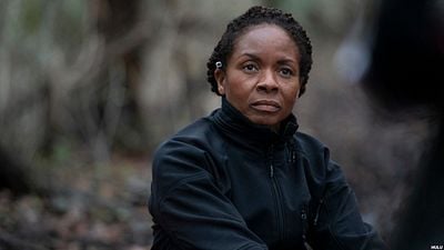 LisaGay Hamilton, ‘The Lincoln Lawyer’ın TV Uyarlamasının Kadrosunda!  haber görseli