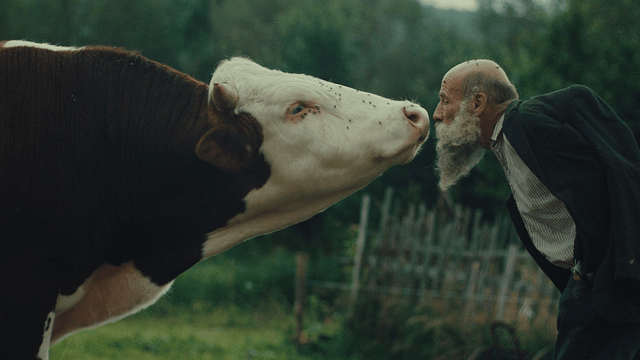 Ankara Film Festivali’nde Üç Sıra Dışı Belgesel İlk Kez Seyirciyle Buluşuyor haber görseli