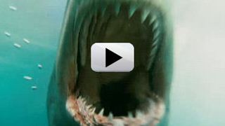 'Shark Night 3D' İlk Fragman!