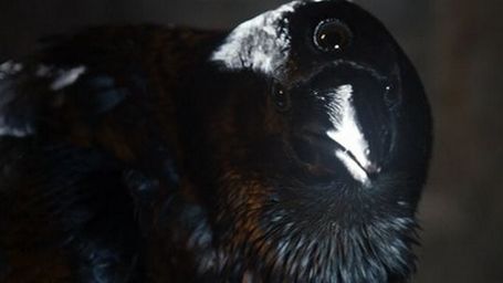 Game of Thrones 3. Sezondan Yeni Teaser! haber görseli