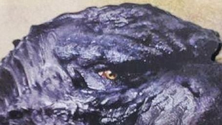 Yeni Godzilla için Japonlar Ne Tepki Verdi haber görseli