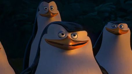 Penguenler Maceraya Hazır! haber görseli