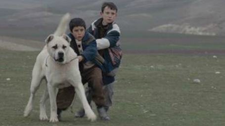 Sivas Filminin İlk Fragmanı Sinemaseverlerin Beğenisine Sunuldu! haber görseli