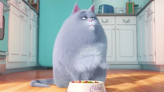 Evcil Hayvanlarınıza Dikkat: The Secret Life of Pets! haber görseli