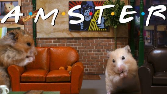 Friends’ın Sevimli Rakibi: Hamsters! haber görseli