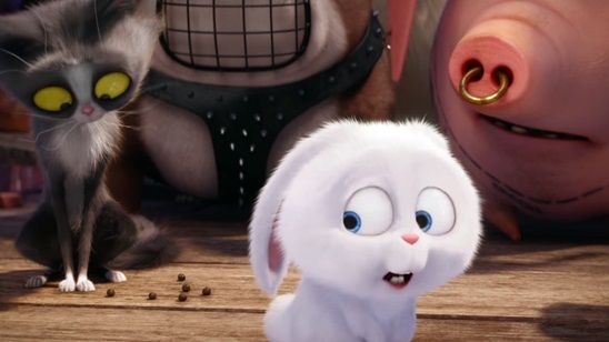 Evcil Hayvanların Gizli Yaşamı'ndan Paskalya Kutlaması! haber görseli