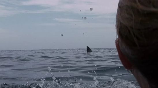 "Açık Deniz: Kafes Dalışı"ndan Türkçe Poster! haber görseli