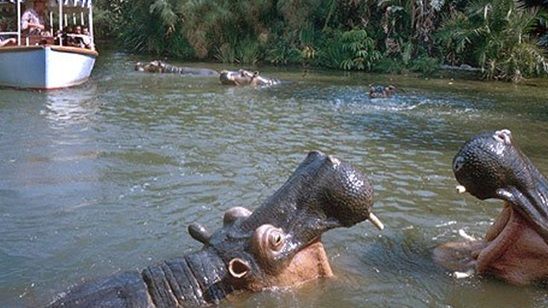 Jaume Collet-Serra Disney’in Yeni Yapımı Jungle Cruise'un Yönetmen Koltuğunda!
 haber görseli