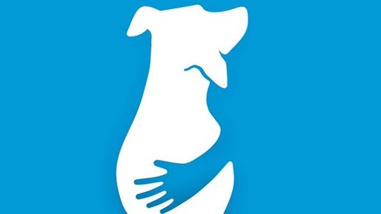 Yiğit Güralp'ten Yeni Film Geliyor! haber görseli