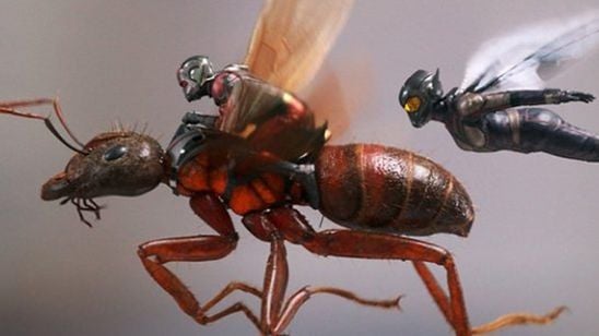 "Ant-Man ve Wasp"tan Yardım Çağrısı!