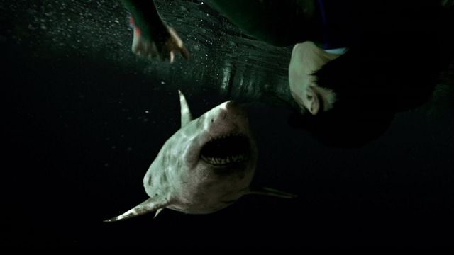 “47 Meters Down: Uncaged”den İlk Fragman Geldi! haber görseli