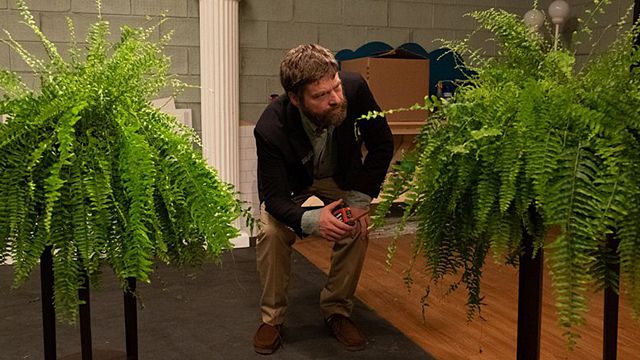 Zach Galifianakis'lı "Between Two Ferns: The Movie"den İlk Görsel! haber görseli