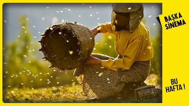Başka Sinema'da Bu Hafta: "Honeyland", "I Lost My Body"... haber görseli