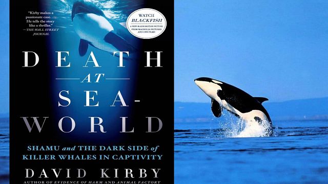 Çok Satan Roman  ‘Death At SeaWorld’ün TV Uyarlaması Yolda!  haber görseli