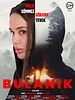 Bulanık posteri
