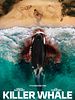Killer Whale posteri