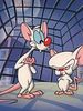 Pinky and the Brain posteri