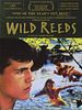 Wild Reeds posteri