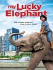 My Lucky Elephant posteri