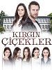 Kırgın Çiçekler posteri
