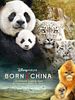 Born In China posteri