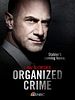 Law & Order: Organized Crime posteri