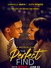The Perfect Find posteri