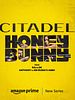 Citadel: Honey Bunny posteri