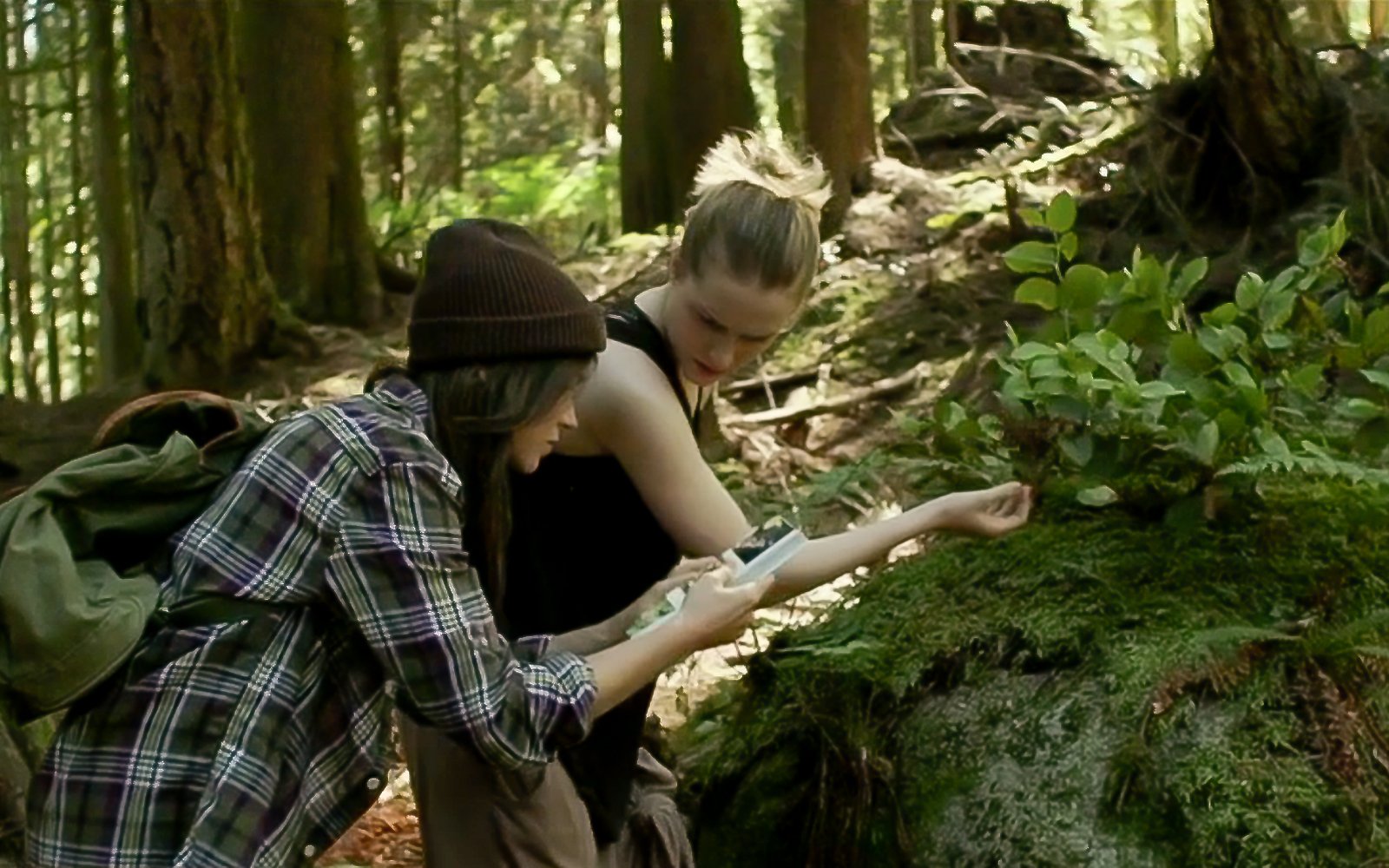 Пленник природы. Эван Рэйчел Вуд в фильме в лесу. Призрачный лес фильм 2006. Тёмный лес фильм 2003.