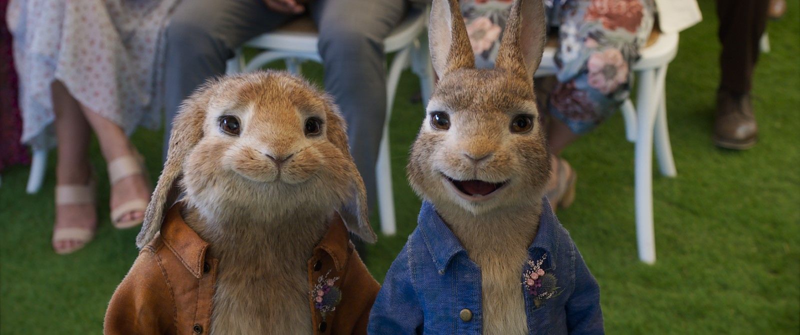 Peter Rabbit: Kaçak Tavşan resimleri - Fotoğraf 23 - Beyazperde.com