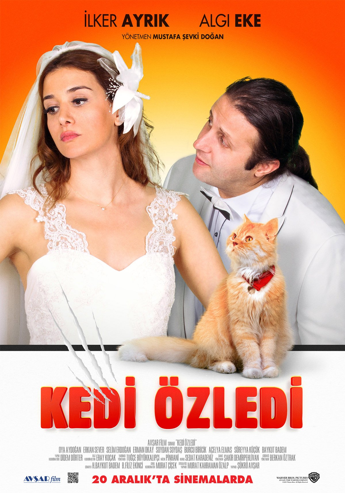 Kedi Ozledi Film 2013 Beyazperde Com
