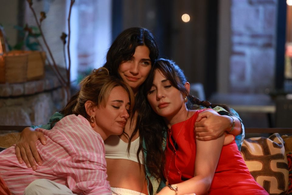 Zeytin Ağacı : Fotoğraf