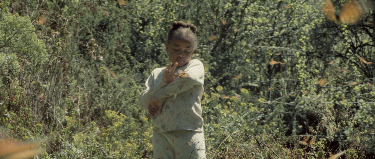 El jardín que soñamos : Fotoğraf