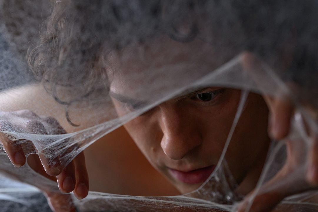 Örümcek-Adam: Yepyeni Bir Gün : Fotoğraf Tom Holland