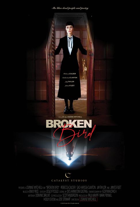 Broken Bird : Afiş