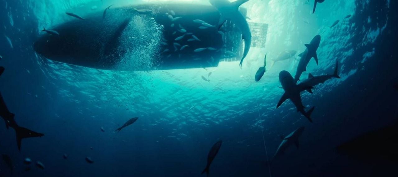 Dangerous Animals : Fotoğraf