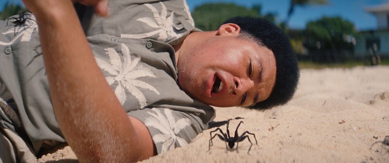 Spider Island : Fotoğraf