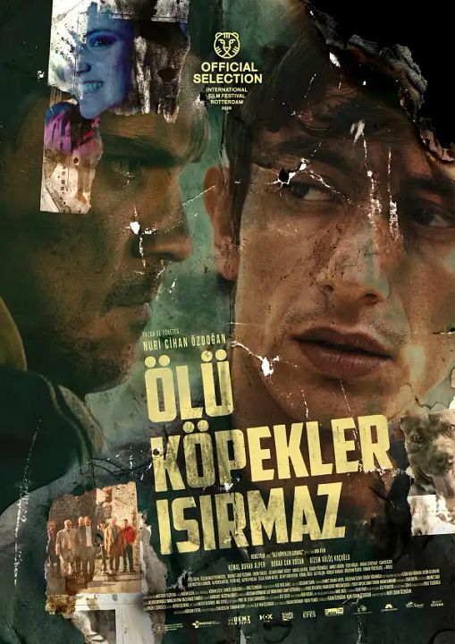 Ölü Köpekler Isırmaz : Afiş