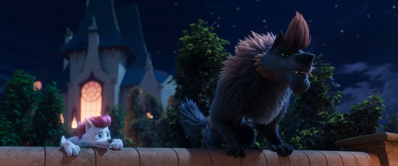 Köpekler Kurtlara Karşı : Fotoğraf