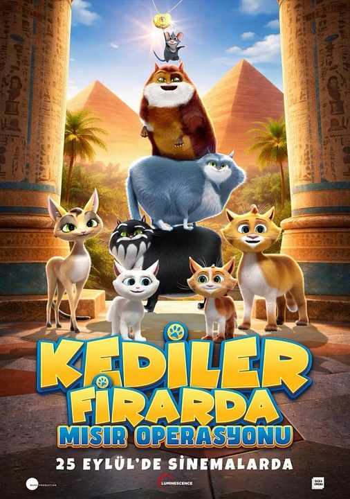 Kediler Firarda: Mısır Operasyonu : Afiş